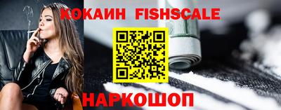 спайс Кингисепп
