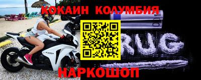 спайс Кингисепп