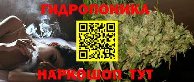 прущая мука Кимры