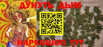 спайс Кингисепп