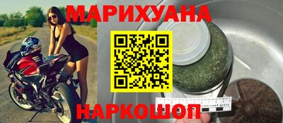 спайс Кингисепп