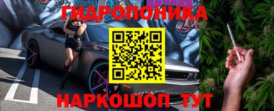 прущая мука Кимры