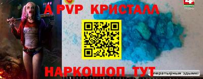 спайс Кингисепп