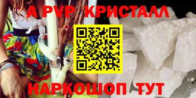 спайс Кингисепп