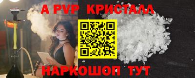 спайс Кингисепп