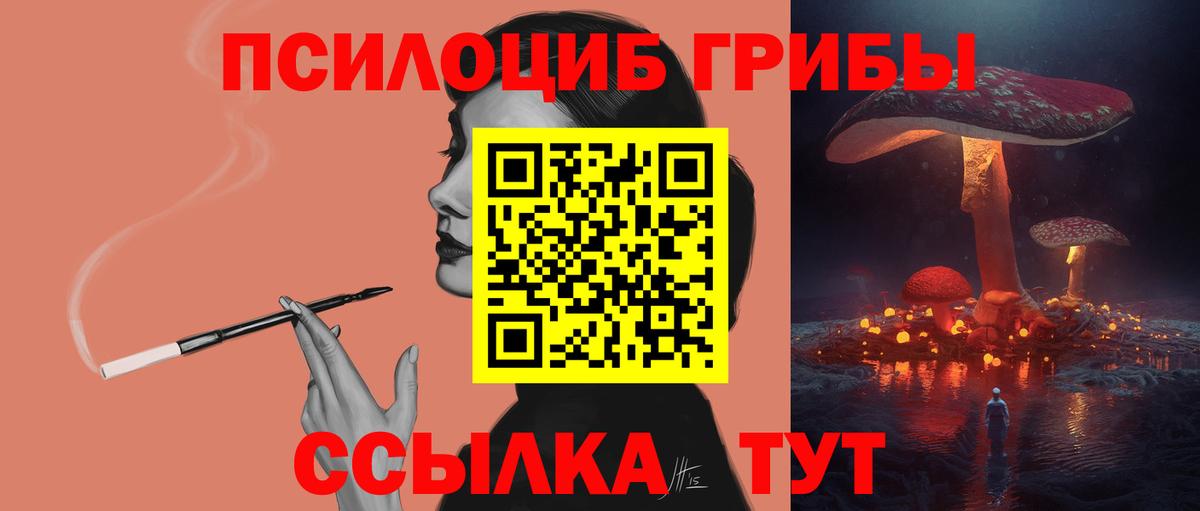 Ярославль  Галлюциногенные грибы Psilocybe  Вход с VPN  Галлюциногенные грибы Psilocybe 